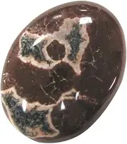 Treasure Gurus Petrified Wood Stone Reiki Chakra Healing Crystal Rock Negative Energy Balance Meditation Decor
