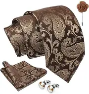 [AXLON] Paisley Tie For Men – Formal Ties Set With Pocket Square, Cufflink & Flower Pin With Gift Box For Mens, Silk Fabric Neckties Gift Sets For Men’s (SPS1)