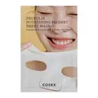 Full Fit Propolis Nourishing Magnet Sheet Mask 10PC COSRX