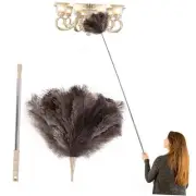 Extendable Ostrich Feather Duster Lengthen Feather Duster with Extension Pole