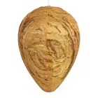 1PC Wasp Nest Deterrents Waterproof Fake Hornets Nest Yellow Jacket Trap Wasp