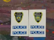 Corgi 17-D Jr Metropolis Buick Police Car Reproduction Stickers ( Set of 2 )