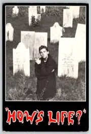 c1980s How's Life Graveyard Ian Ayres Salem New York Continental Postcard