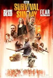 The Walking Dead and Fear the Walking Dead Survival Sunday AMC Exclusive Poster