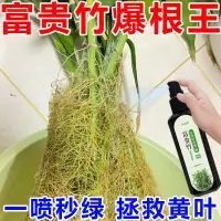 在飛比找露天拍賣優惠-有機肥 花肥 開花肥 肥料 氮磷鉀 磷鉀肥 磷酸二氫鉀 秒變