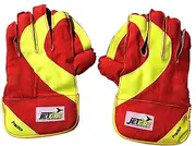 JetFire Basic Practice Wicket Keeping Gloves Wicket Keeping Gloves (L, Green, Multicolor)