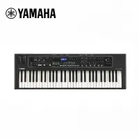 在飛比找Yahoo奇摩購物中心優惠-YAMAHA CK61 專業舞台電鋼琴 61鍵款