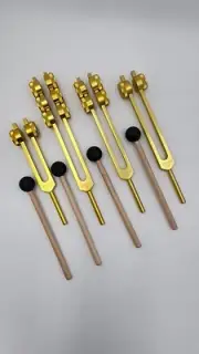 Osteo Gold Tuning Fork Set of 4 Weighted for Bone Ligament Nerves Muscle Healing