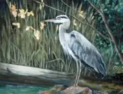Heron Accent & Decor Tile Debbie Hughbanks Bird Wildlife Art DHA004AT