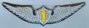 US ARMY AVIATION "SOLO WINGS" with #1 (WING CUT OUT FROM BACKGROUND MATERIAL)