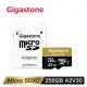 (聊聊享優惠) Gigastone microSDXC UHS-I U3 A2(V30) 256G記憶卡(附轉卡) (台灣本島免運費)
