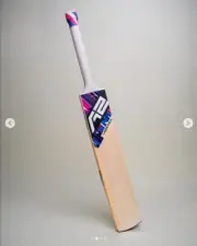VERTEX ENGLISH WILLOW CRICKET BAT