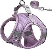 AIITLE No Pull Dog Harness and Leash Set, Step in Adjustable Dog Harness with Padded Vest for All Weather, Reflective Pet Harness, Easy to Put on Small Dogs Purple S