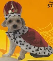 Wal-Mart Brand King Dog Halloween Pet Costume 100% Polyester Size S/M (NEW)