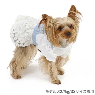 【PET PARADISE】小雛菊蕾絲洋裝 (SS/DS)｜PP 2024新款 春季新品
