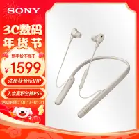 在飛比找京東台灣優惠-索尼（SONY）WI-1000XM2 頸掛式無線藍芽耳機 高