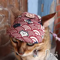 在飛比找蝦皮購物優惠-【皮邁設計】日式貓咪波浪 貓咪帽 貓帽子 寵物帽 青海波 日