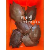 在飛比找蝦皮購物優惠-野生鱉【台灣鱉】甲魚 各斤兩 全台最優質 最優惠的店家 購買