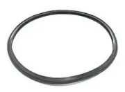 Onga Pantera Sand Filter Tank Oring