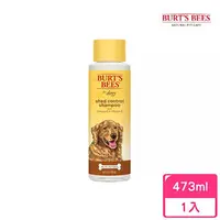 在飛比找momo購物網優惠-【BURT’S BEES】亞麻籽維他E沐浴露16oz/473