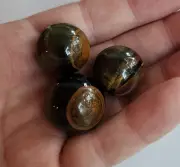 Beautiful Flashy Polished Tigers Eye Crystal Sphere Lot Of 3 - 49g