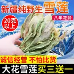 【小幸運食品】新疆天山雪蓮花3送1野生正品中藥材店鋪滋補泡酒泡茶搭配紅花