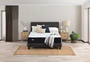 LLAMA Evoca Queen Mattress