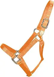 Hamilton 1-Inch Nylon Horse Halter, 800/1100-Pound, Mango Orange