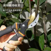 Fruit Tree Pruning Scissors Gardening Scissors Flower Greening Grafting