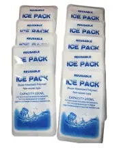 Ice packs for coolers/ Pack Of 10 Bags 200ml Capacity