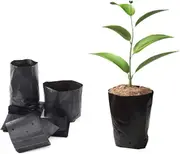 100pcs Thickened Plastic Plant Nursery Bags Fruit And Flower Seedling Planting Bags, Plant Growing Bags In Black, 24*31cm