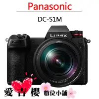 在飛比找蝦皮商城優惠-Panasonic LUMIX S1M + S 24-105