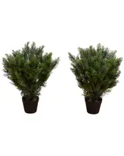 Nearly Natural Set of 2 Indoor/Outdoor UV-Resistant 2ft Artificial Cedar Trees