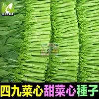 在飛比找蝦皮購物優惠-🥬㊣【我會發芽】蔬菜種子 四九菜心種子 甜菜心 菜苔種子 青