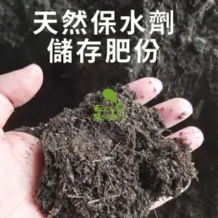 (現貨 免運)有機肥料 蔗渣 園藝土壤 堆肥 有機肥 培養土 有機認證 台糖蔗渣 農夫樂