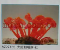 在飛比找樂天市場購物網優惠-【西高地水族坊】AZOO霓虹螢光珊瑚 大鈕釦珊瑚(紫,黃,紅