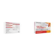 Apotex Health Cough Cold & Flu PE 24 Capsules