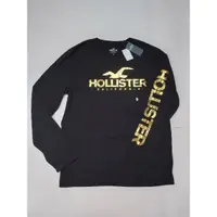 在飛比找蝦皮購物優惠-Hollister 海鷗金標大logo 純棉長t