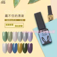 在飛比找蝦皮購物優惠-CHE GEL 摩登復古色 若夏紫薇色系 小清心復古 美甲材