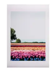 [VISUAL CITIZENS] VISUAL CITIZENS Paintings and prints - Item 58067411