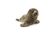 Korimco 20cm Fur Seal Kids Toddler Soft Animal Plush Stuffed Toy 3y+ Grey