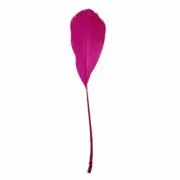 Stripped Goose Nagoire Feathers 10 grams - Cerise