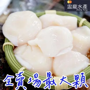 【盅龐水產】生食干貝2L - 1kg±5%/盒(16-20顆)