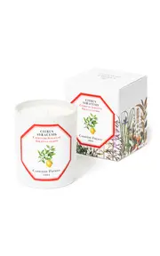 [Carrière Frères] Citrus Syracusis Candle