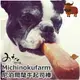 【三吉米熊】日本Michinokufarm尼泊爾氂牛起司棒L號/潔牙骨/狗狗耐咬零食