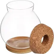 Gogogmee Hydroponic Glass Planter Transparent Desktop Plant Vase with Wooden Base for Indoor Plants Stylish Terrarium Container for Home Office Decor for Wedding