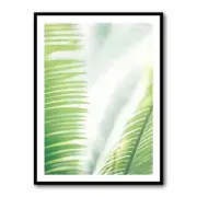 Light Palm Tree Leaves Wall Art PREMIUM POSTER PRINT HIGH QUALITY THICK paper
