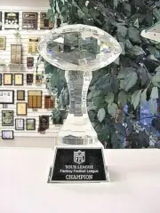 LARGE CRYSTAL FANTASY FOOTBALL FFL TROPHY SATIN LINED PRESENTATION BOX M*CRY149*