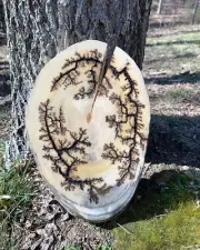 Fractal burning, wood burning, Lichtenberg wood burning, tree of heaven, wood