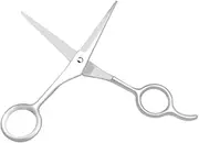 LOLIPPYY Professional Haircut Scissors Stainless Steel Straight Cut Tools for Barbers and Home Use Durable Hair Salon Accessories Silver Hair Styling Shears